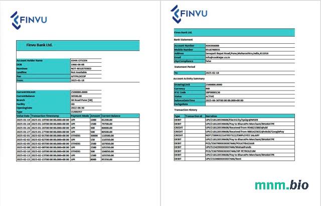 Szablon wyciągu bankowego India Fincare w programie Word i PDF